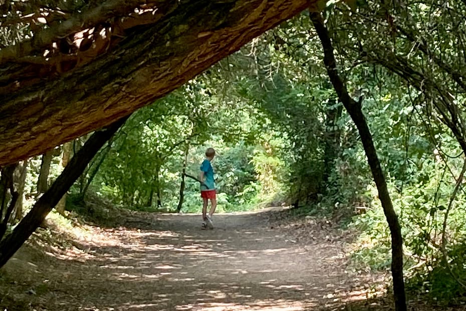 Jongen in bos
